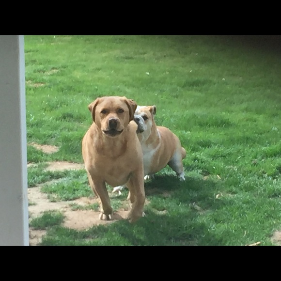 Meet your Posher, Mark - Picture 8 of 16